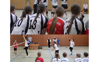 Heimspielwochenende bei unseren VolleyballerInnen in Eldagsen